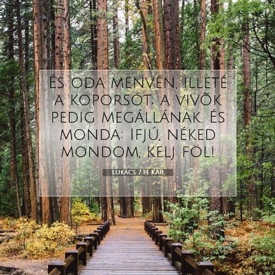 Lukács 7:14 Bibliai vers magyarázata