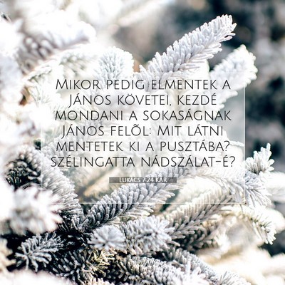 Lukács 7:24 Bibliai vers magyarázata