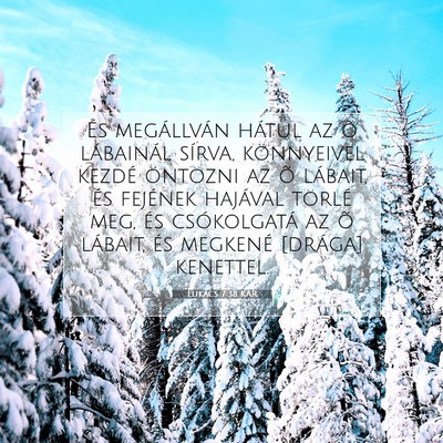 Lukács 7:38 Bibliai vers magyarázata