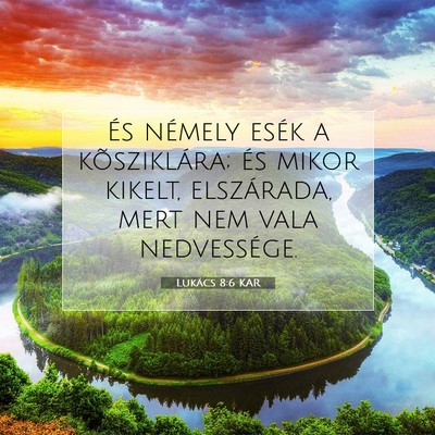 Lukács 8:6 Bibliai vers magyarázata