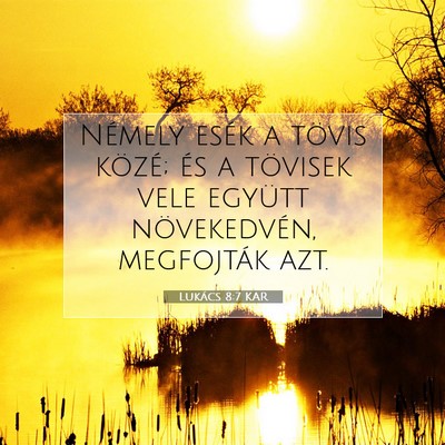 Lukács 8:7 Bibliai vers magyarázata