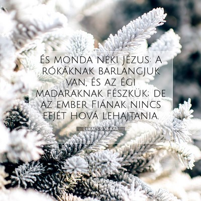 Lukács 9:58 Bibliai vers magyarázata