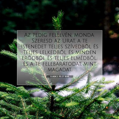 Lukács 10:27 Bibliai vers magyarázata