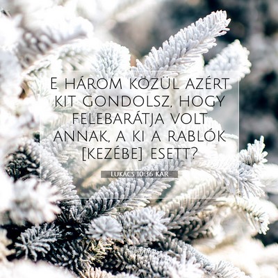 Lukács 10:36 Bibliai vers magyarázata