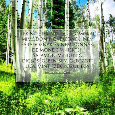 Lukács 12:27 Bibliai vers magyarázata