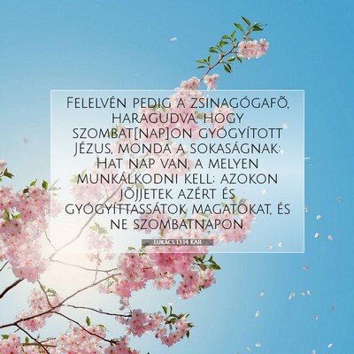Lukács 13:14 Bibliai vers magyarázata