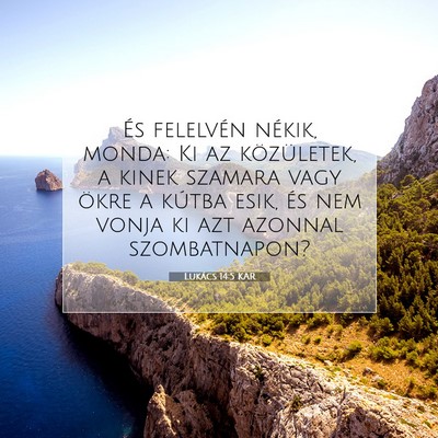 Lukács 14:5 Bibliai vers magyarázata