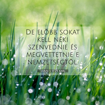 Lukács 17:25 Bibliai vers magyarázata