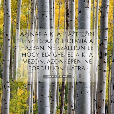 Lukács 17:31 Bibliai vers magyarázata