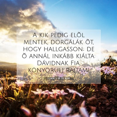 Lukács 18:39 Bibliai vers magyarázata