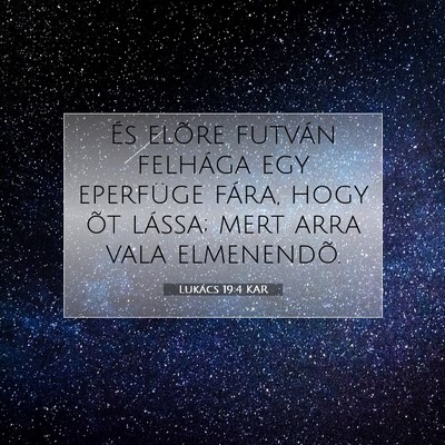 Lukács 19:4 Bibliai vers magyarázata