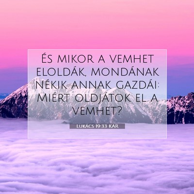 Lukács 19:33 Bibliai vers magyarázata