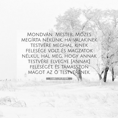 Lukács 20:28 Bibliai vers magyarázata