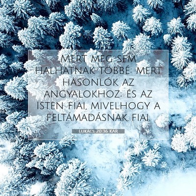 Lukács 20:36 Bibliai vers magyarázata