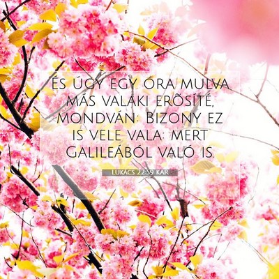 Lukács 22:59 Bibliai vers magyarázata