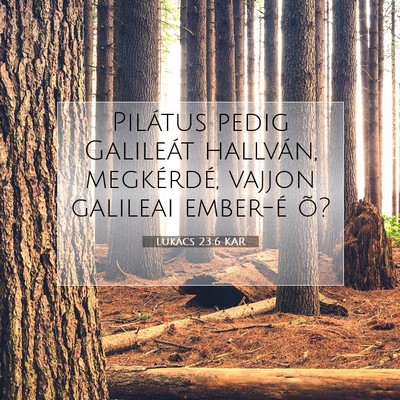 Lukács 23:6 Bibliai vers magyarázata