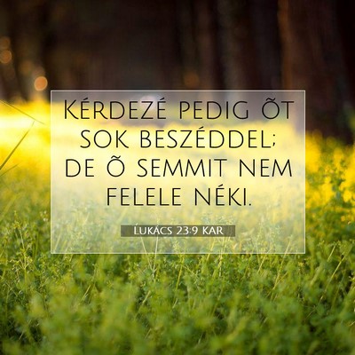 Lukács 23:9 Bibliai vers magyarázata