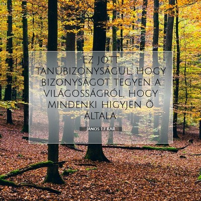 János 1:7 Bibliai vers magyarázata