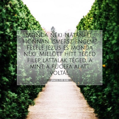 János 1:49 Bibliai vers magyarázata