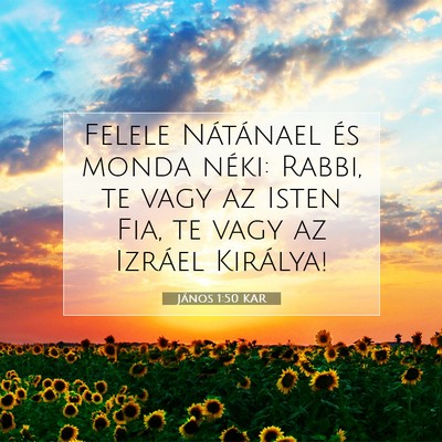 János 1:50 Bibliai vers magyarázata