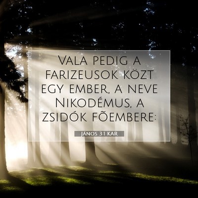 János 3:1 KAR Bibliai verskép