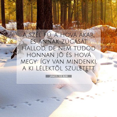 János 3:8 Bibliai vers magyarázata
