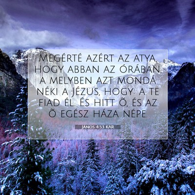 János 4:53 Bibliai vers magyarázata