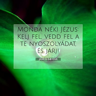 János 5:8 KAR Bibliai verskép