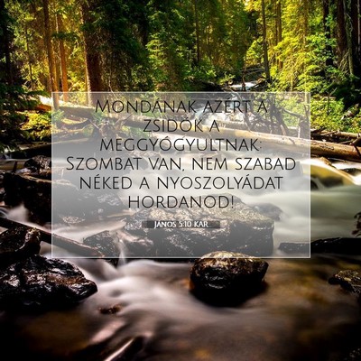 János 5:10 KAR Bibliai verskép