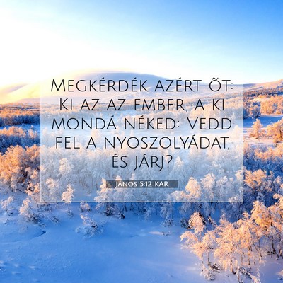 János 5:12 KAR Bibliai verskép