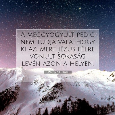 János 5:13 KAR Bibliai verskép