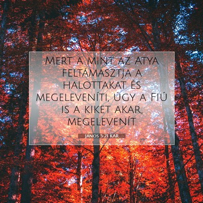 János 5:21 KAR Bibliai verskép