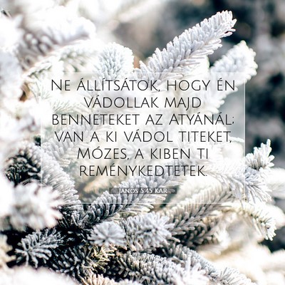 János 5:45 KAR Bibliai verskép