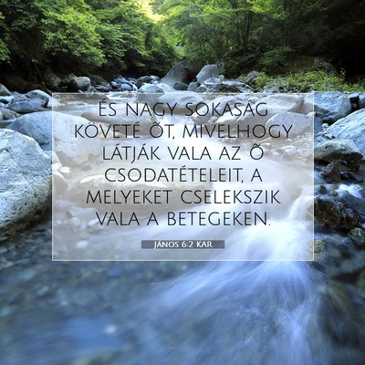 János 6:2 KAR Bibliai verskép