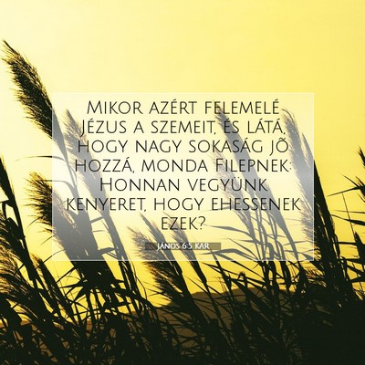 János 6:5 KAR Bibliai verskép