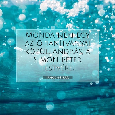 János 6:8 KAR Bibliai verskép