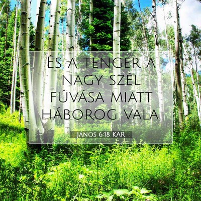 János 6:18 KAR Bibliai verskép