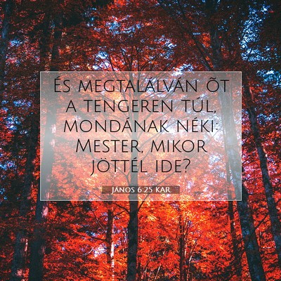 János 6:25 KAR Bibliai verskép