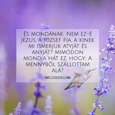 János 6:42 KAR Bibliai verskép