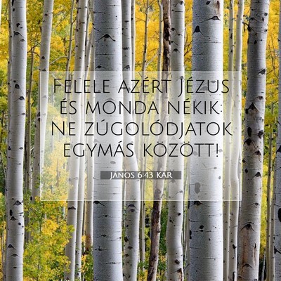 János 6:43 KAR Bibliai verskép