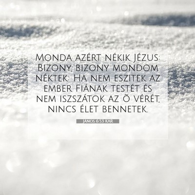 János 6:53 KAR Bibliai verskép