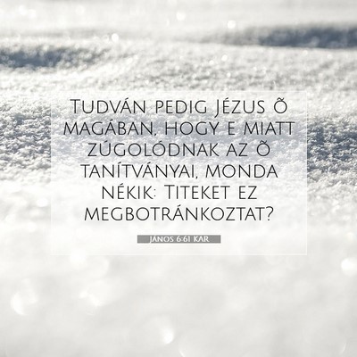 János 6:61 KAR Bibliai verskép