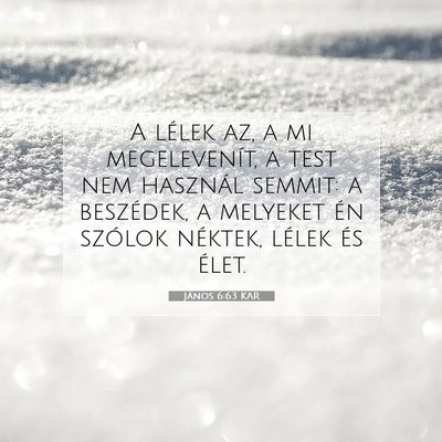 János 6:63 KAR Bibliai verskép