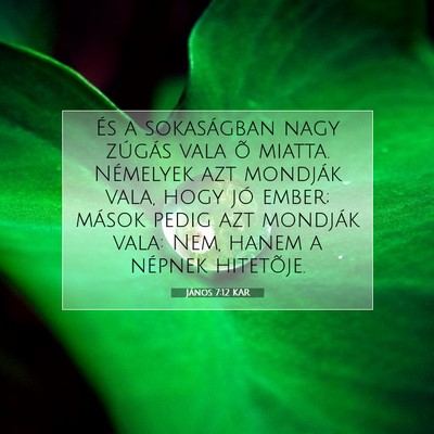 János 7:12 KAR Bibliai verskép