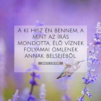 János 7:38 Bibliai vers magyarázata