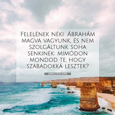 János 8:33 KAR Bibliai verskép