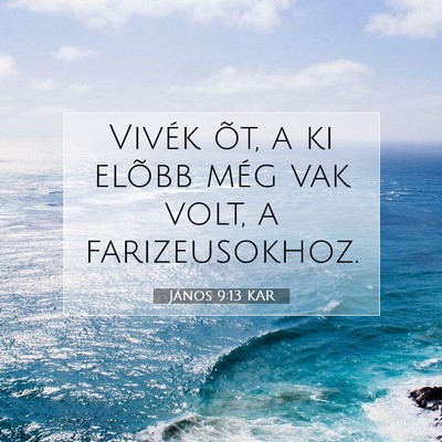János 9:13 KAR Bibliai verskép