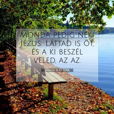 János 9:37 KAR Bibliai verskép