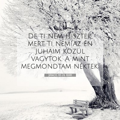 János 10:26 KAR Bibliai verskép