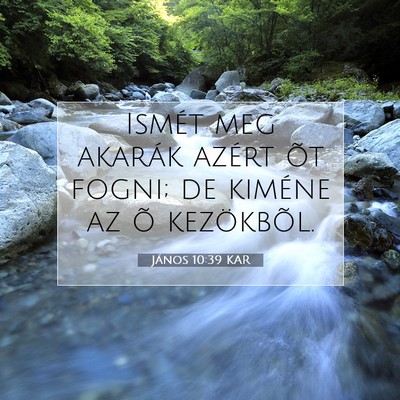 János 10:39 KAR Bibliai verskép